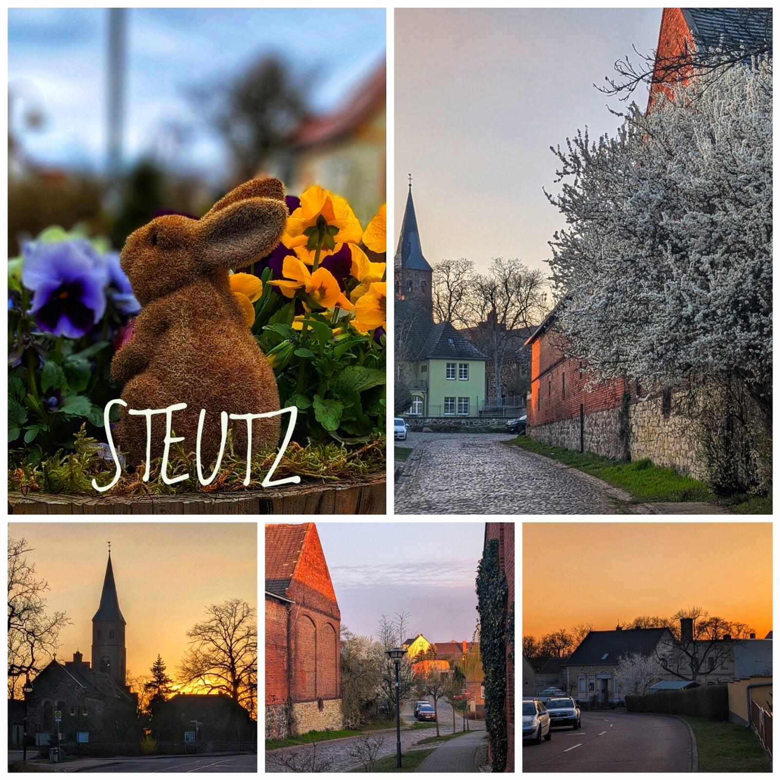 Frühling in Steutz II
