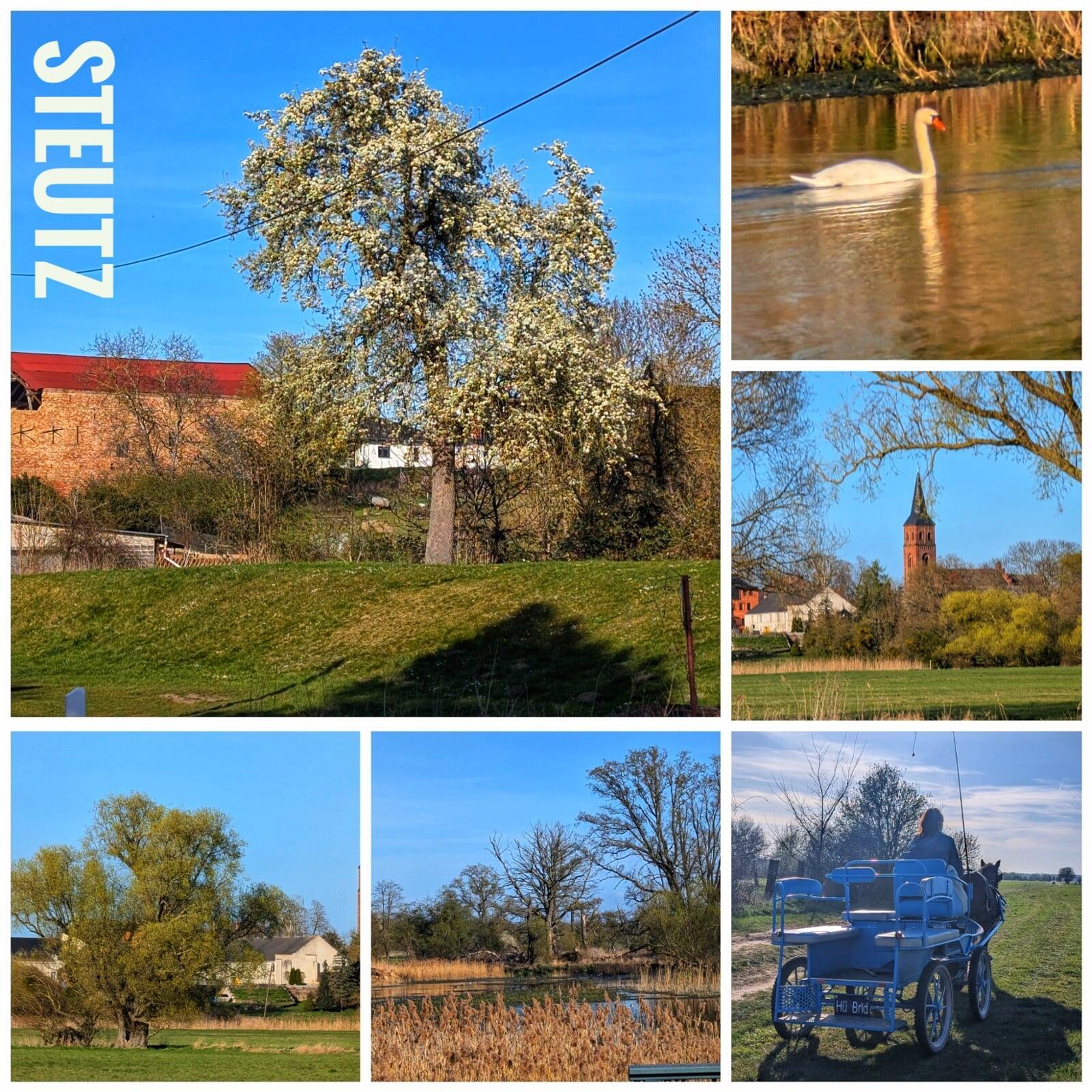 Frühling in Steutz III
