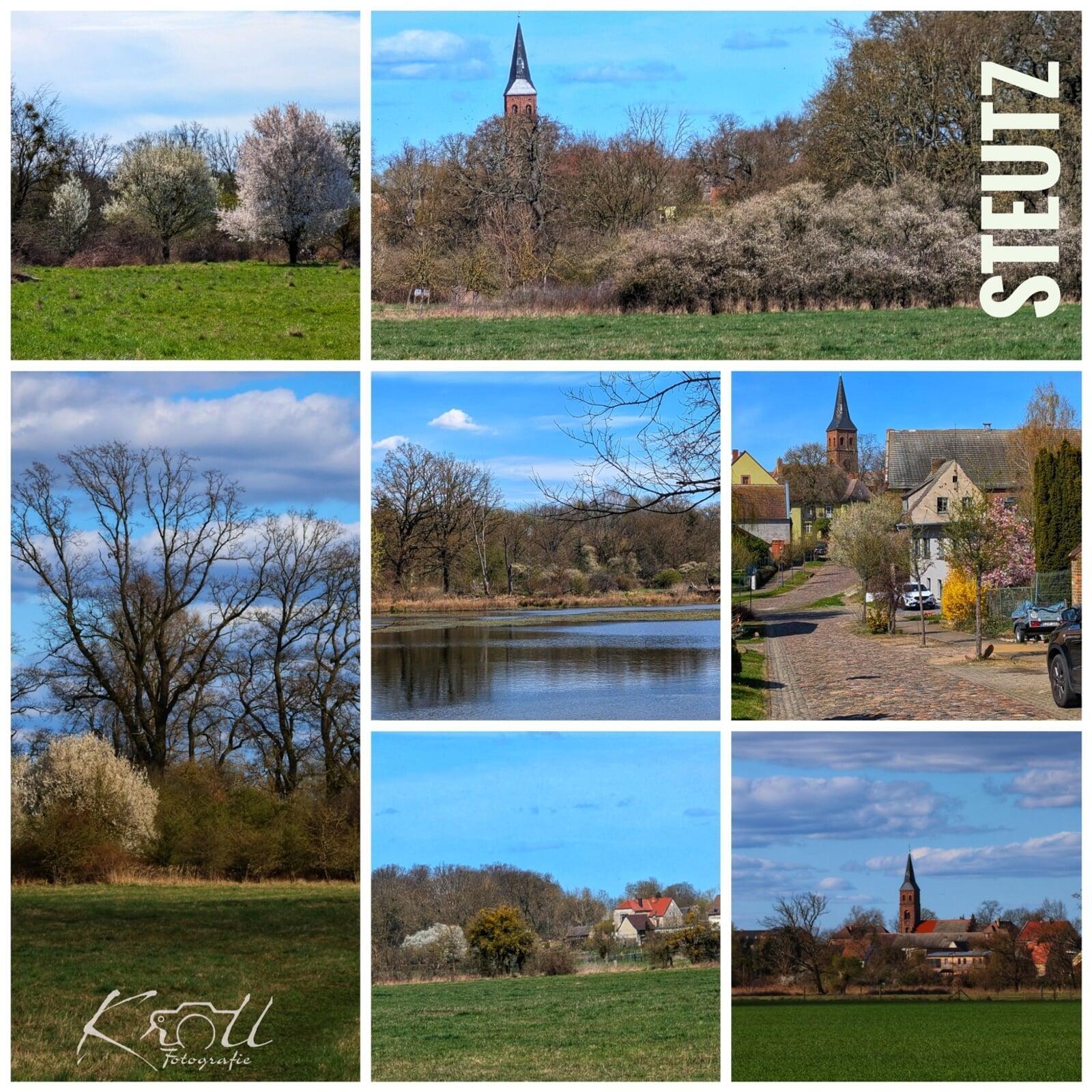 Frühling in Steutz I