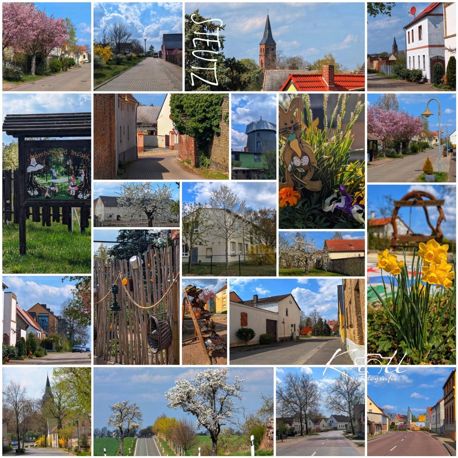 Frühling in Steutz IV