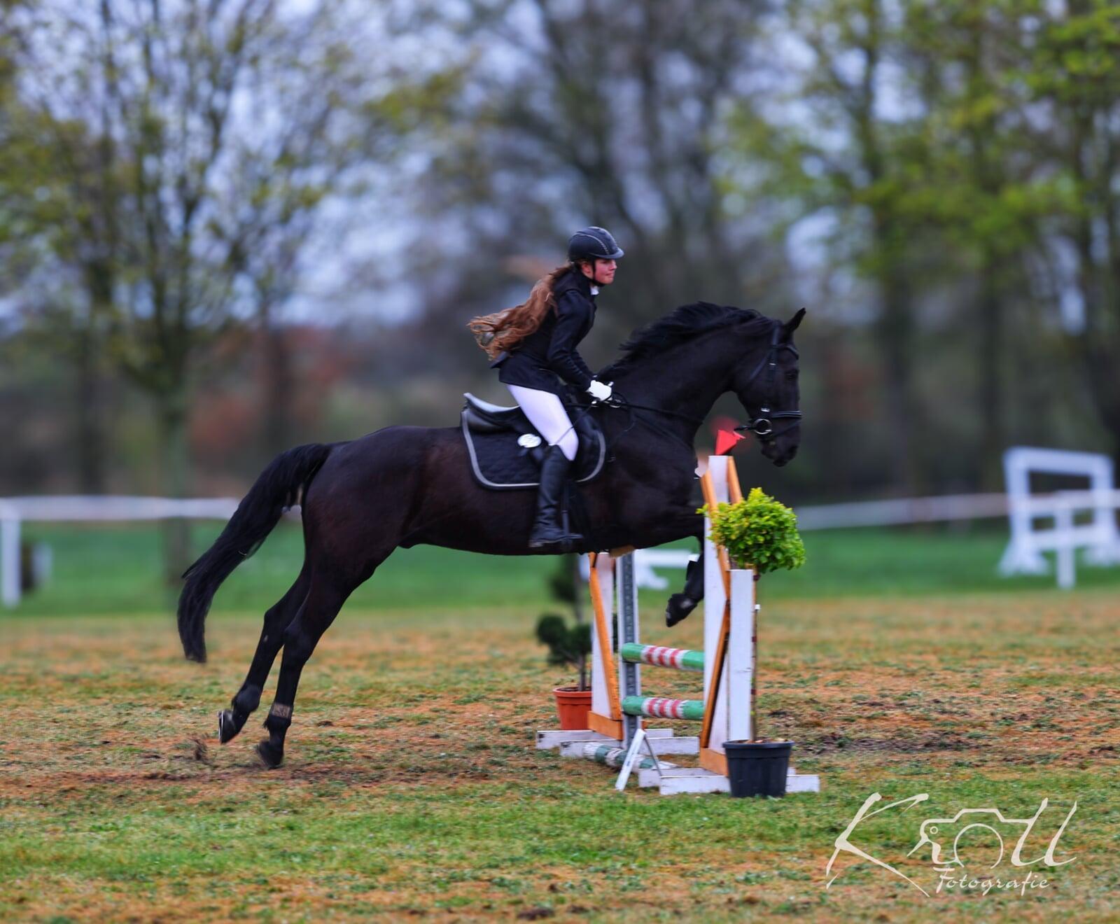 Reitertag in Susigke 19.04.2025