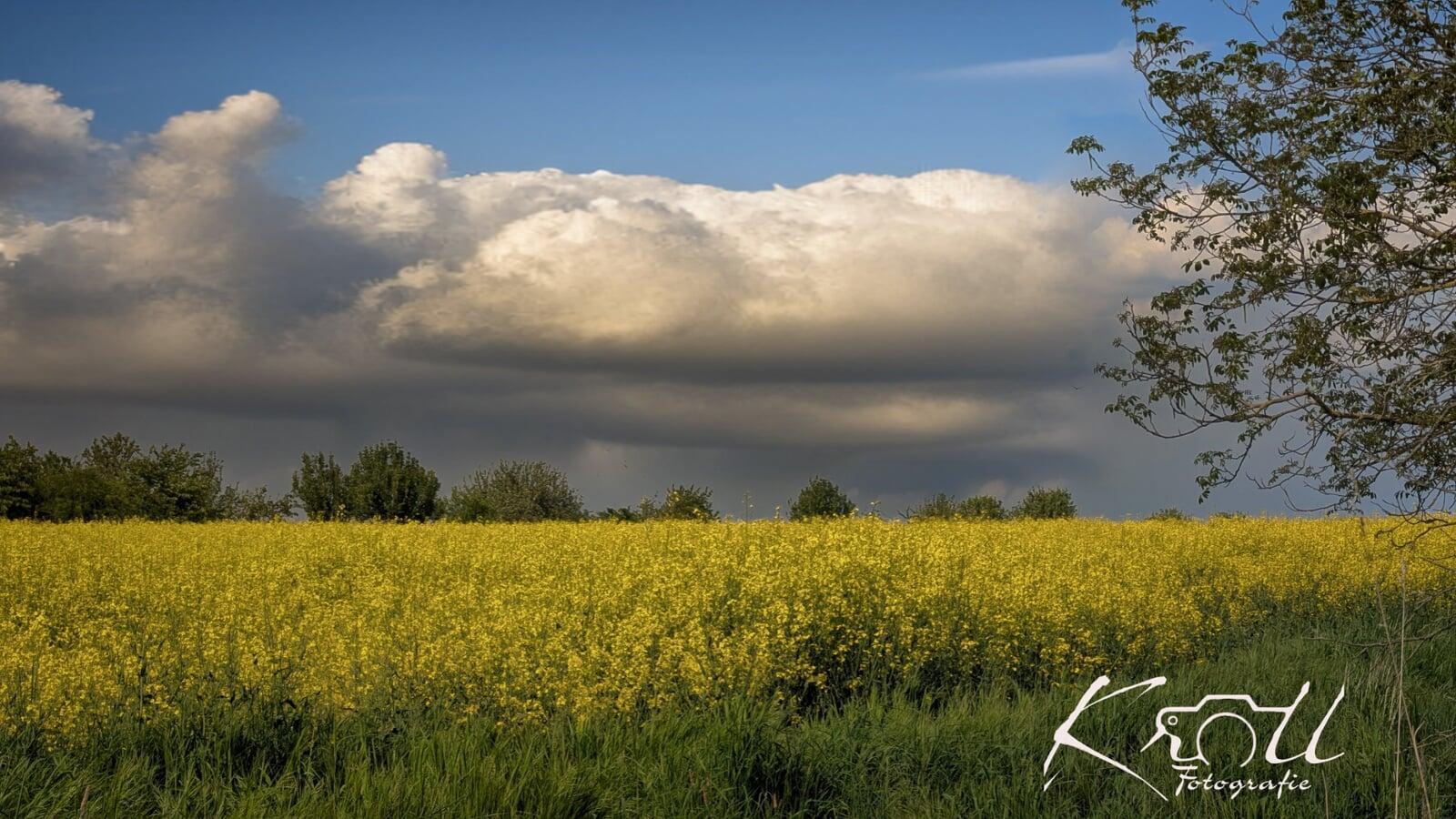 die Farben der Natur