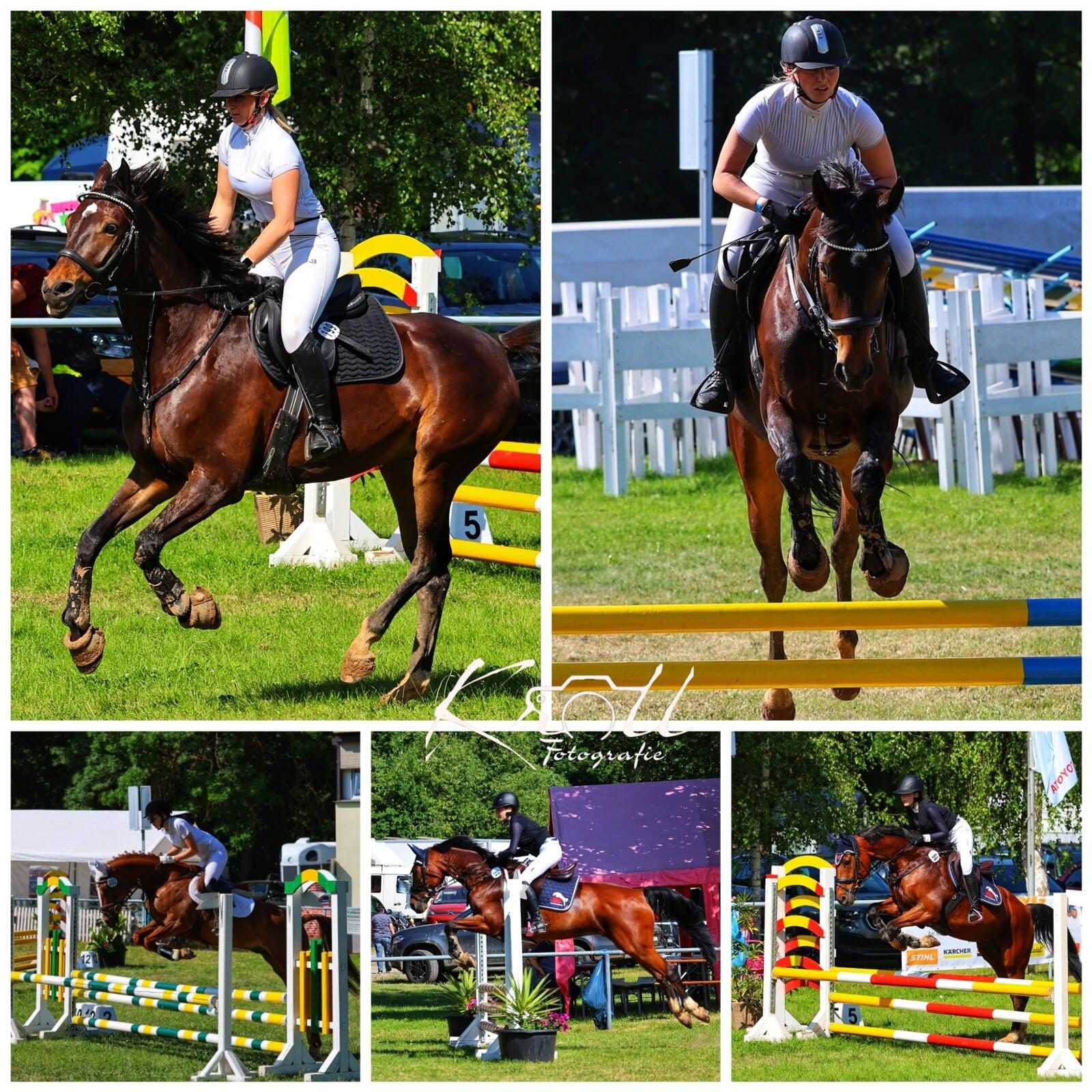 Reitturnier in Mehringen 22.06.2025 